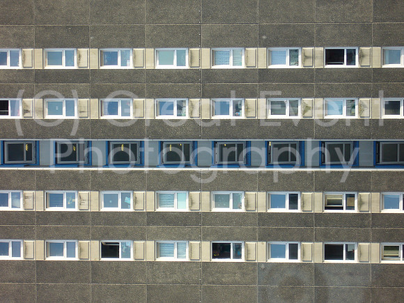 P1000002